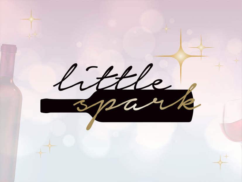 Little Spark Official Store