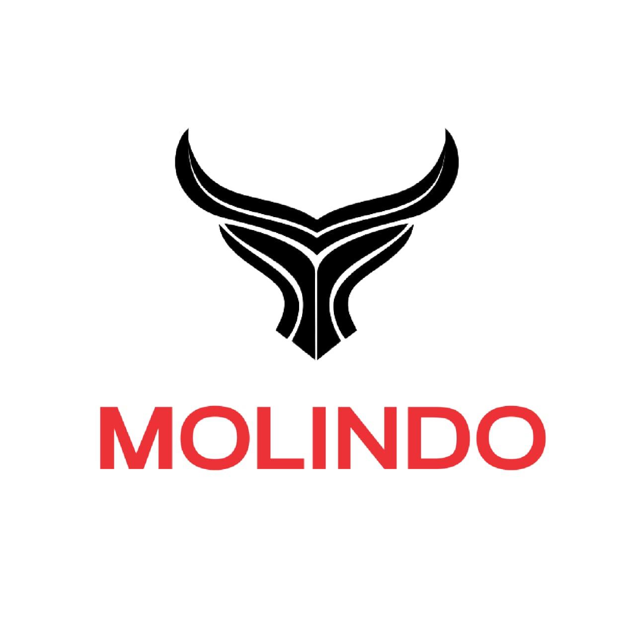 Molindo. id