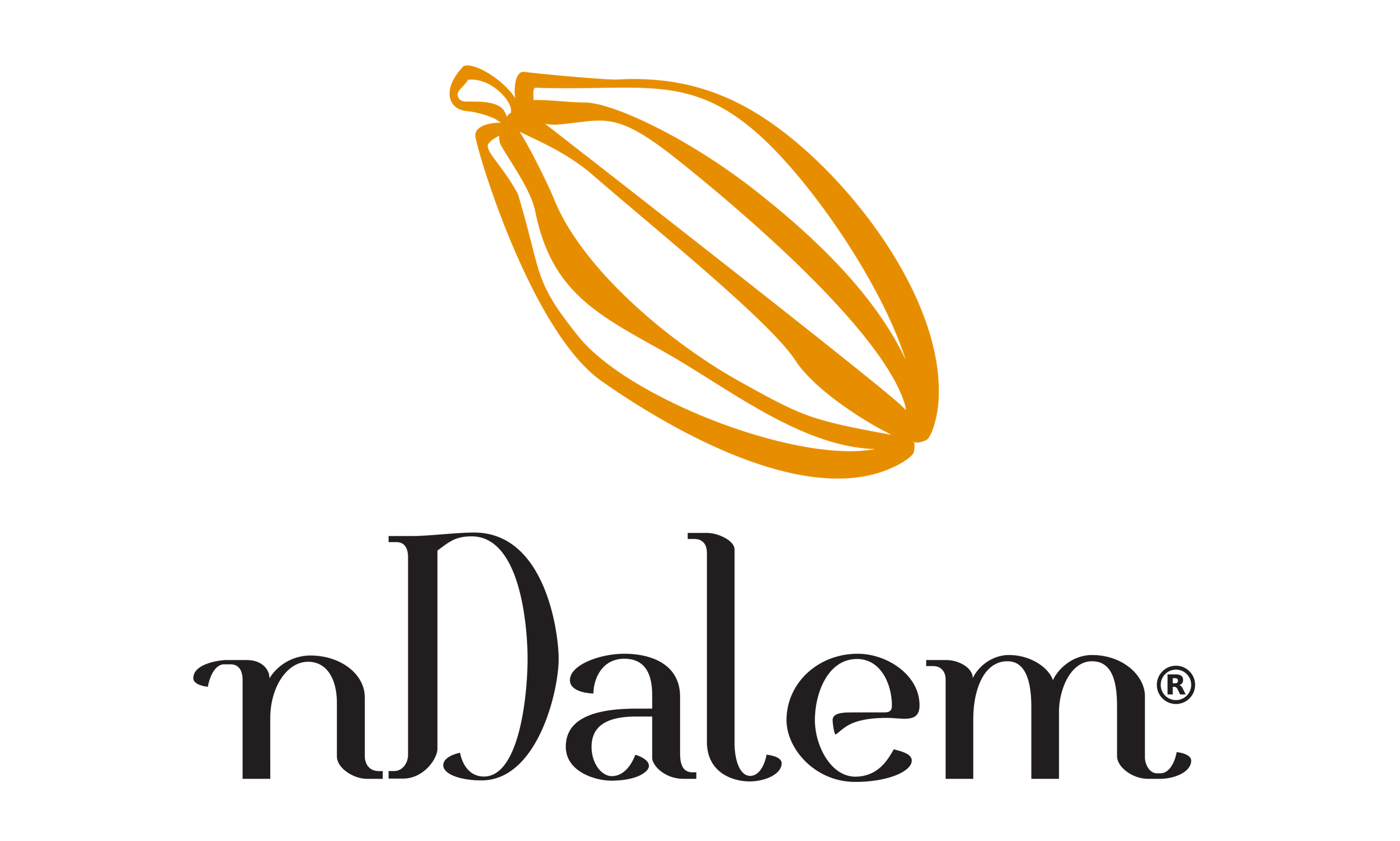 Cokelat nDalem