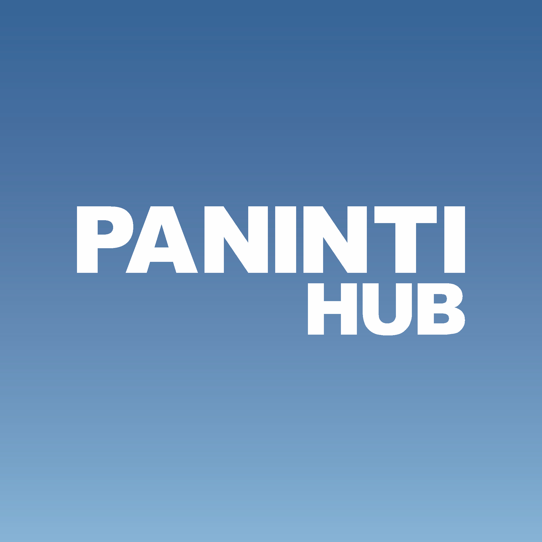 PANINTI Hub
