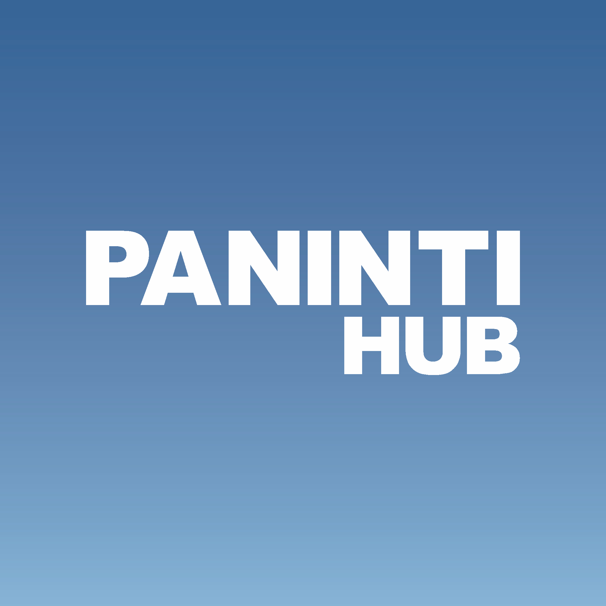PANINTI Hub Official Store