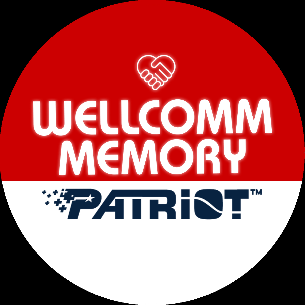 Wellcomm Data Storage Official