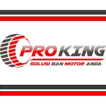 Proking Motor