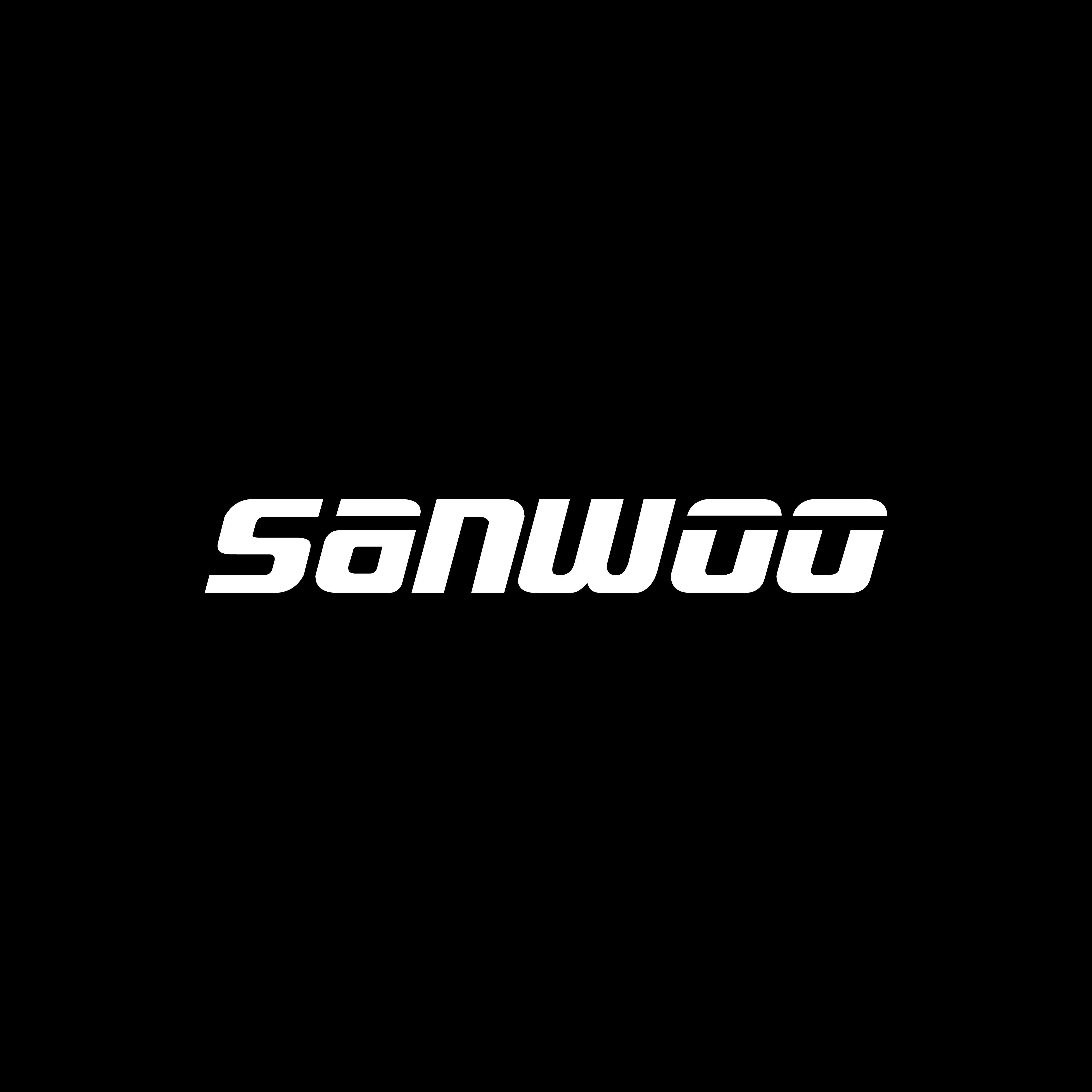 Sanwoo Electronics Official Store