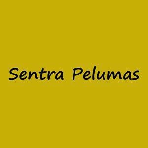 Sentra Pelumas