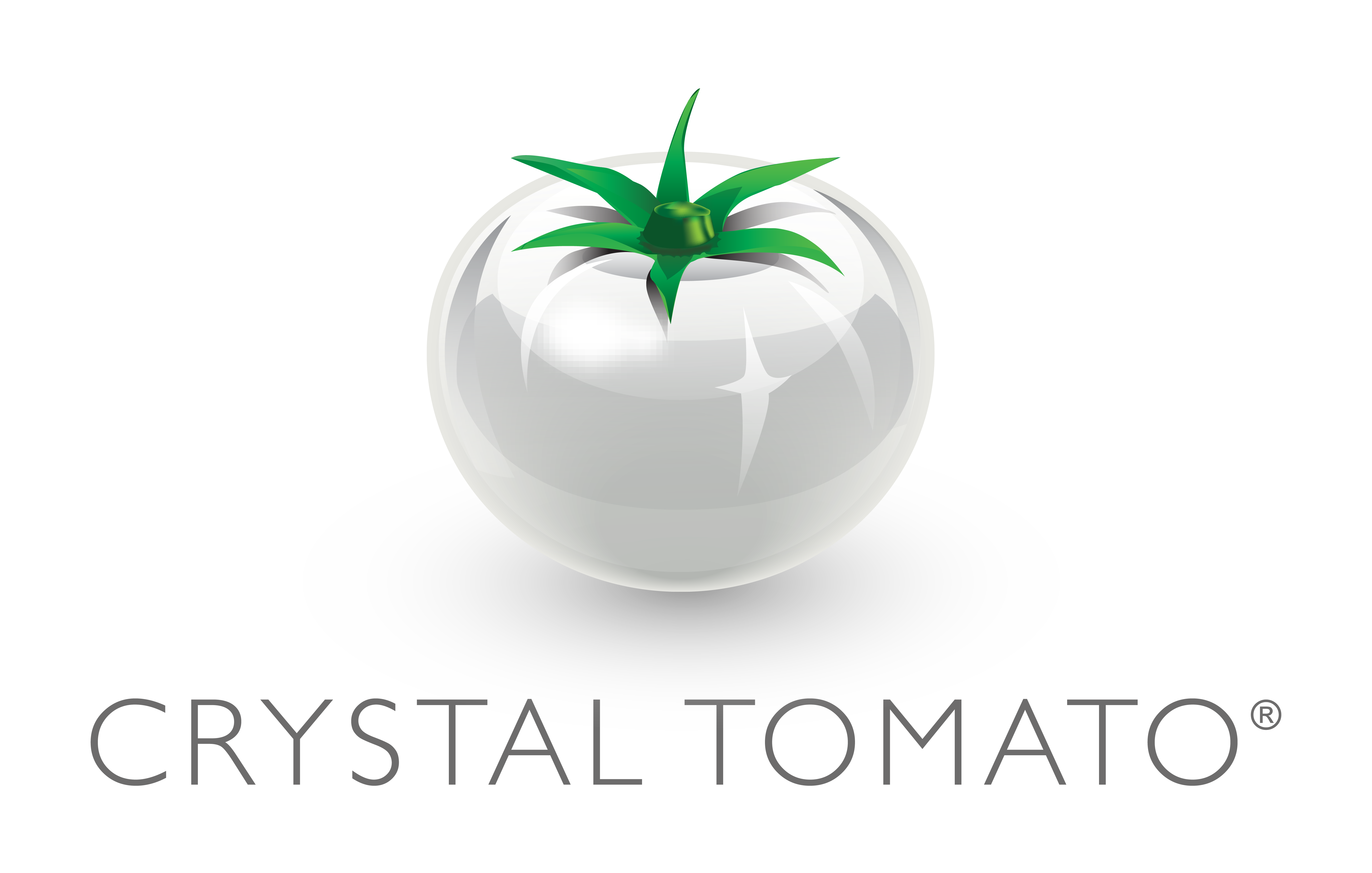 Crystal Tomato Indonesia