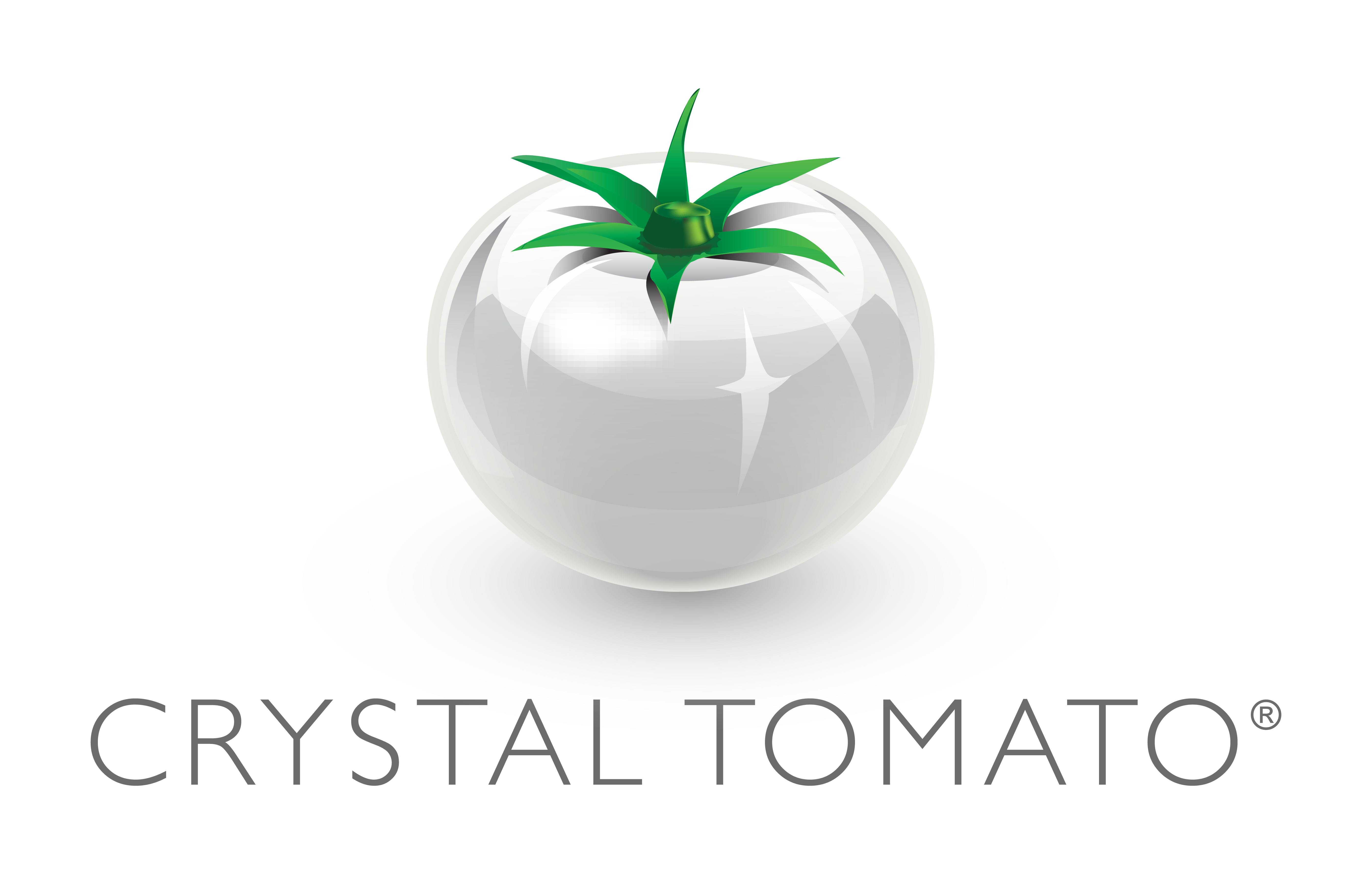 Crystal Tomato Indonesia Official Store