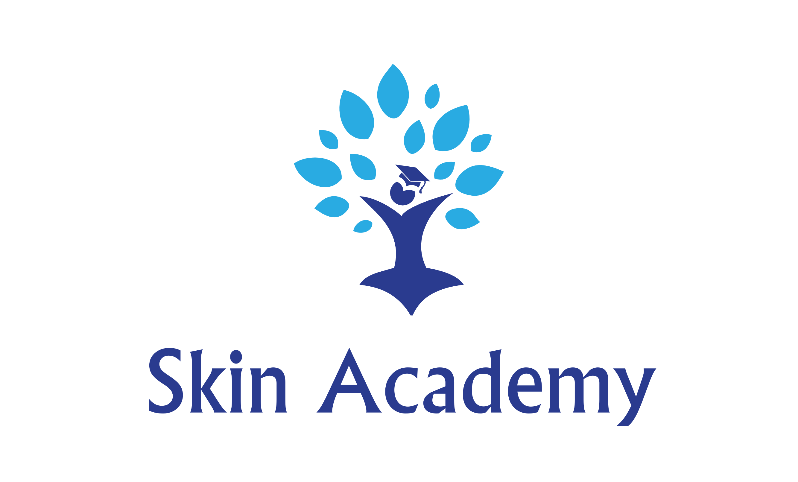 Skin Academy 