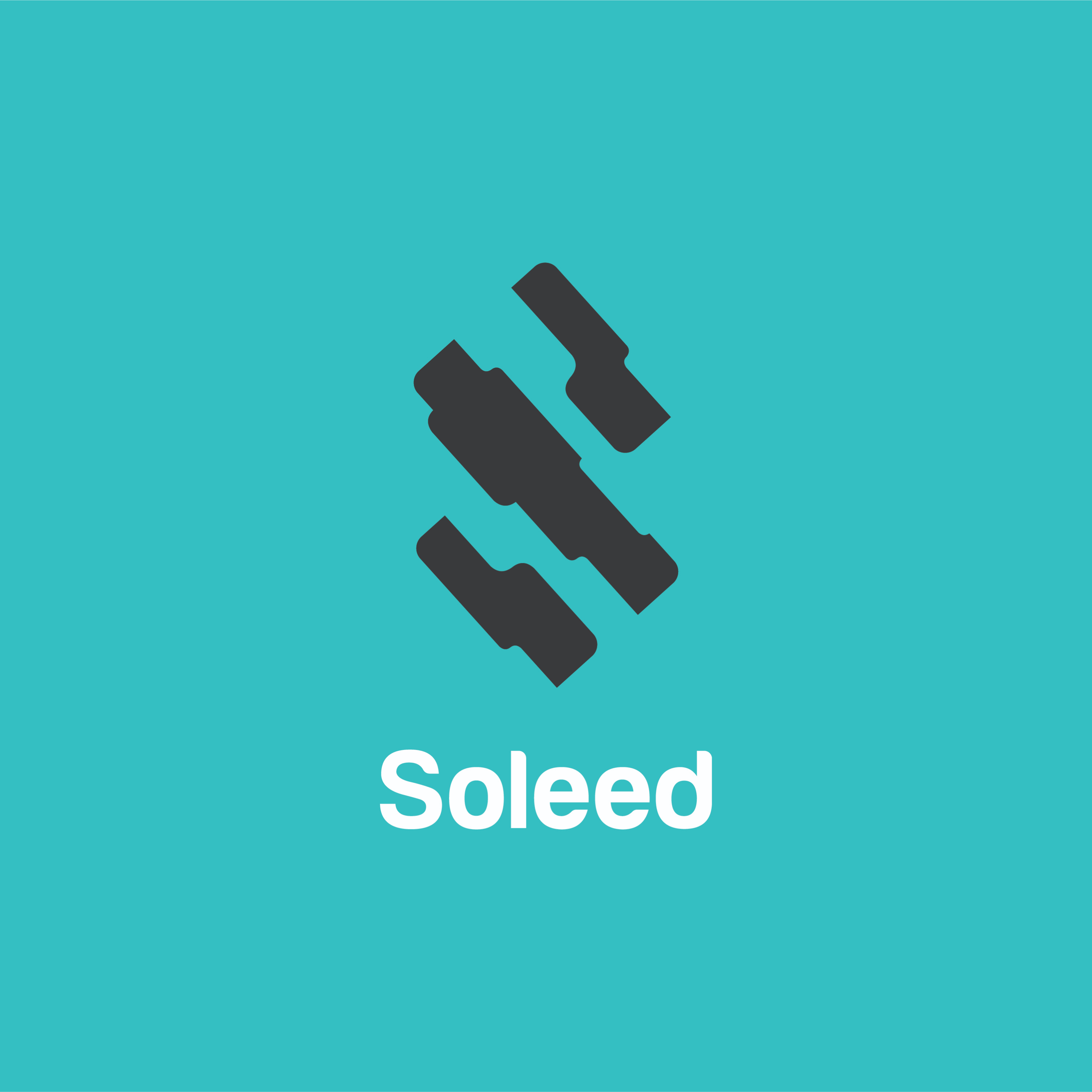 Soleed Indonesia Flagship Store