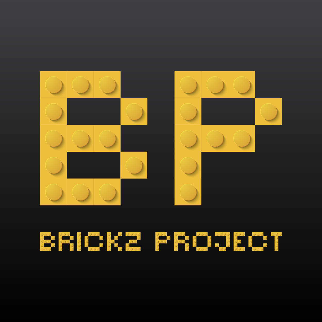Brickz Project Official Store