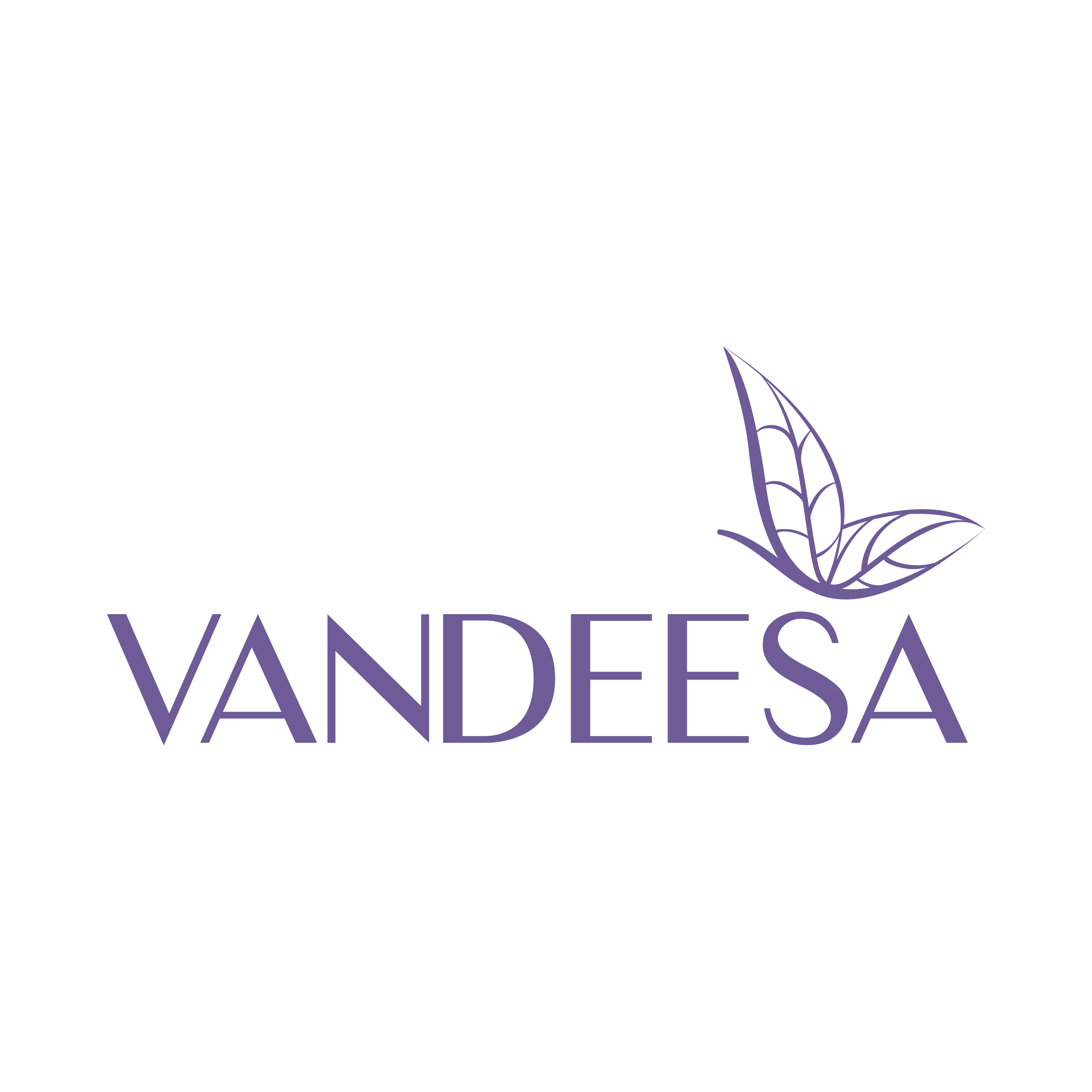Vandeesa.id Official Store