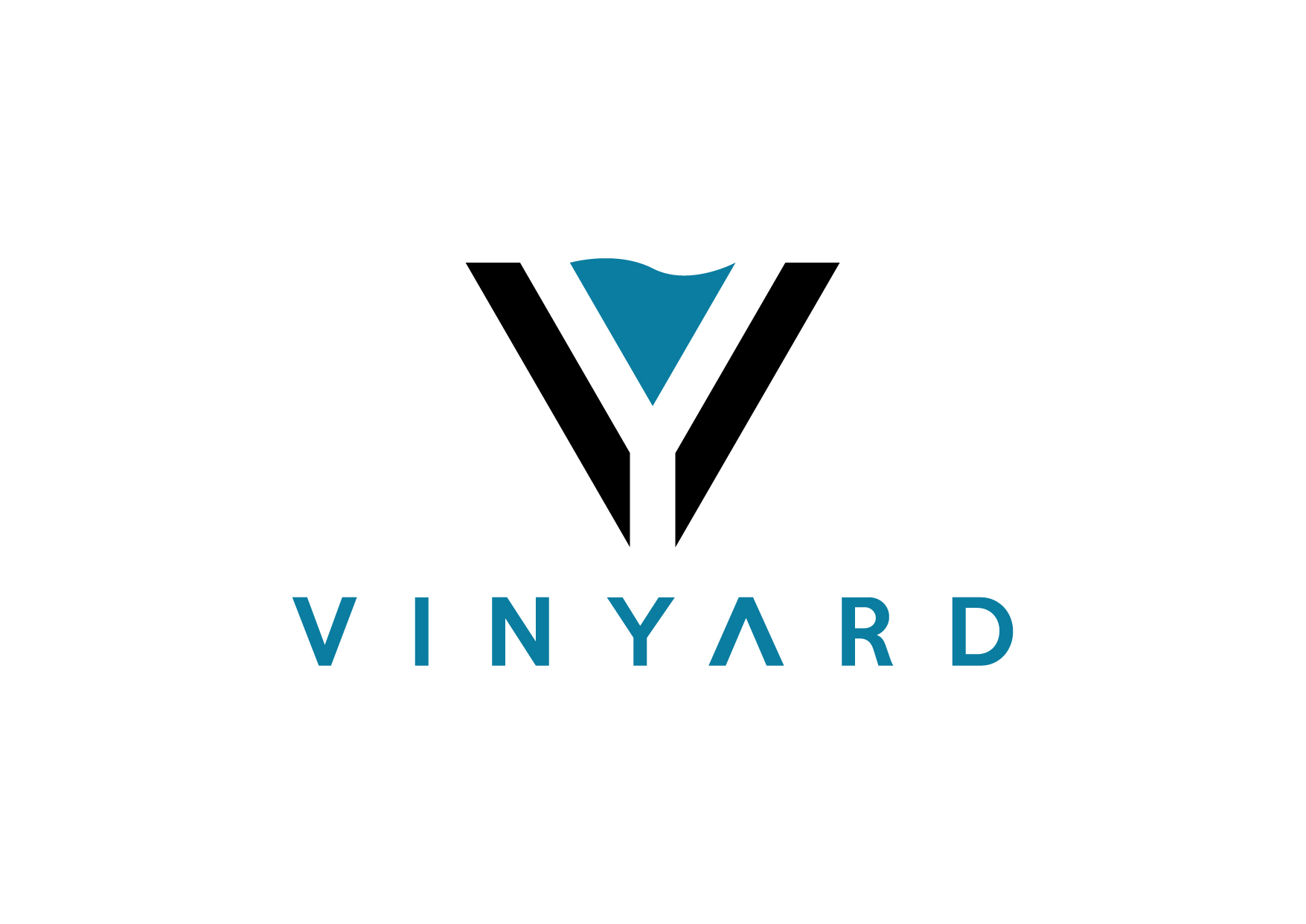 Vinyard Official Store