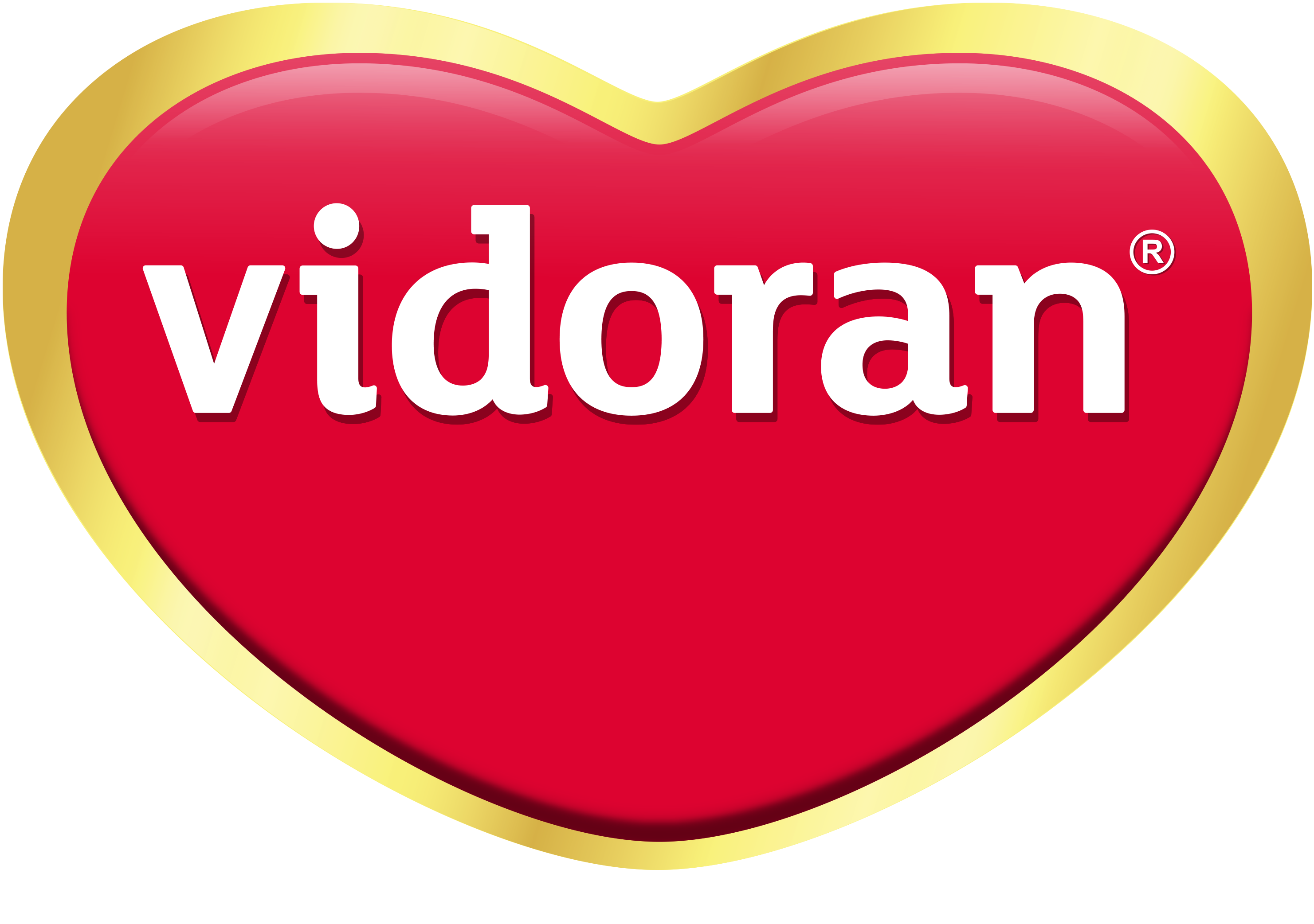 Vidoran Flagship Store