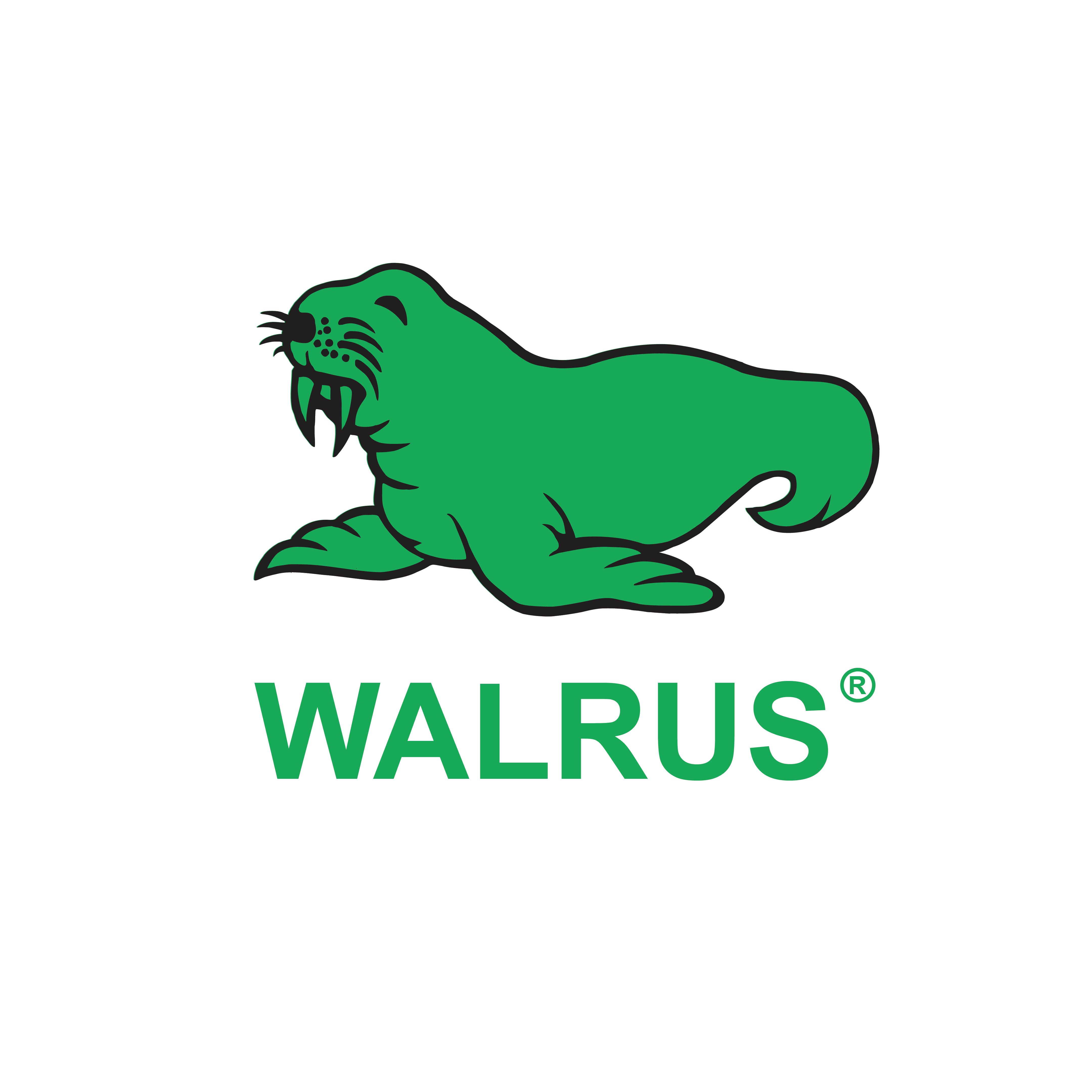 Walrus Indonesia Official Store Original Terbaru Maret 2023 | Blibli