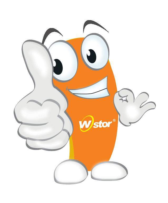 W-Stor Memory Official Store