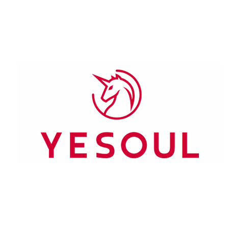 Yesoul Official Store