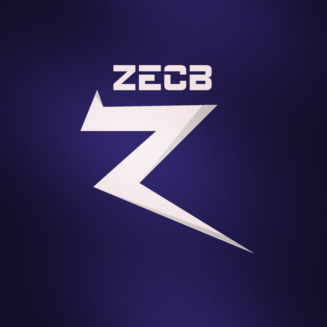 ZECB.ID OFFICIAL STORE