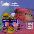 product-figure