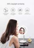 product-figure
