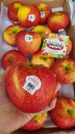 Promo HarvestMoon Apel Envy NZ Jumbo per Pcs Diskon 9% di Seller