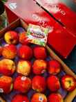Promo HarvestMoon Apel Envy NZ Jumbo per Pcs Diskon 9% di Seller