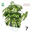 product-figure