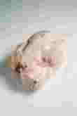 product-figure